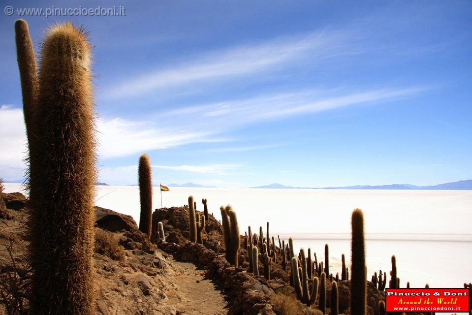 BOLIVIA 2 - Isla Incahuasi - 07.jpg